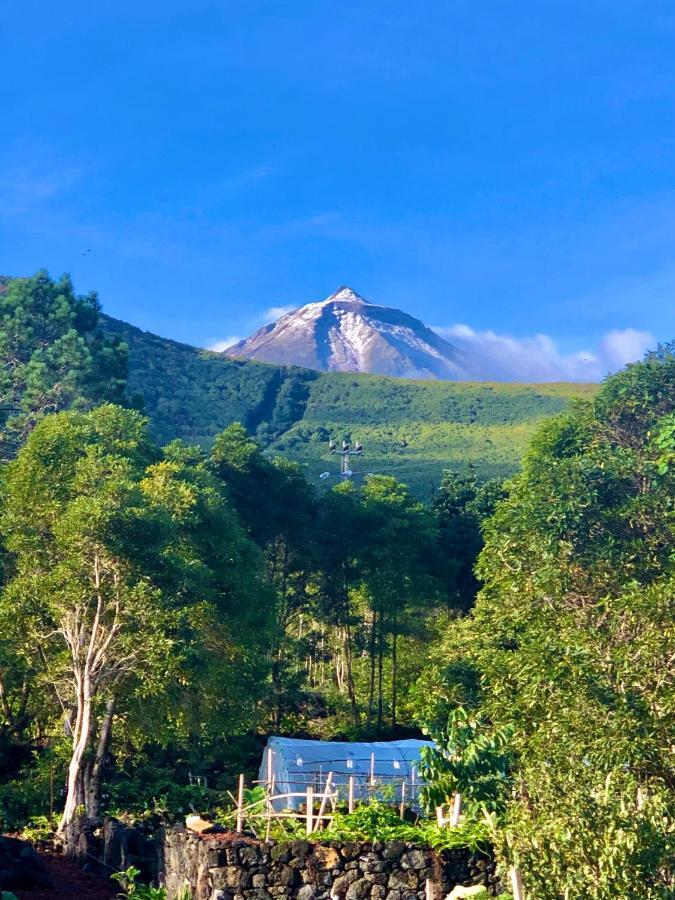 Quinta Pereirinha Farm - Bed & Breakfast - Pico Island, Azores - Private 3 Bedroom Home On A Working Farm W Ocean Views 상호케도피코 외부 사진