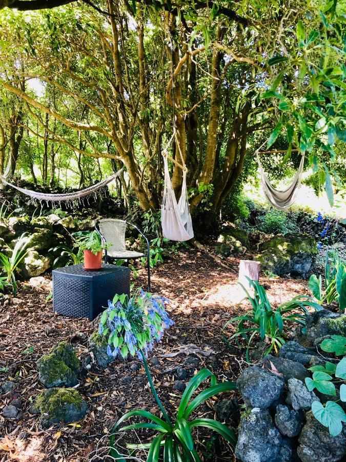 Quinta Pereirinha Farm - A Private 3 Bedroom Vacation Home, Close To Hiking W Ocean Views - Pico Island, Azores 상호케도피코 외부 사진
